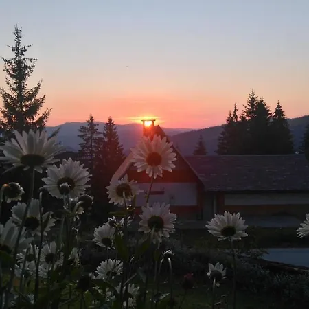 Ismar&hanna Vlašić